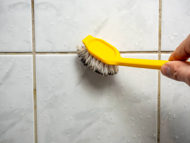 Best Certified Mold Removal  in Oakwood, PA
