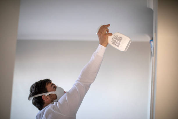 Best Mold Damage Repair  in Oakwood, PA