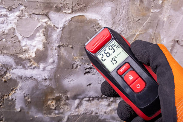 Best Mold Removal Process  in Oakwood, PA