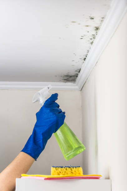 Best Water Damage Restoration  in Oakwood, PA